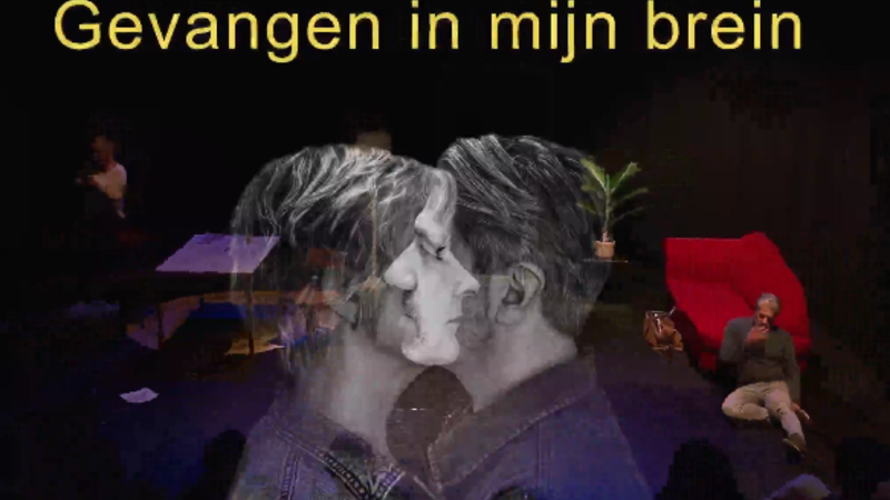 Voorstelling over de gevolgen van Niet Aangeboren Hersenletsel (NAH)